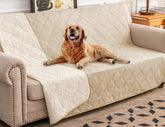 Ameritex waterproof dog bed cover with anti-slip back protects furniture from spills.