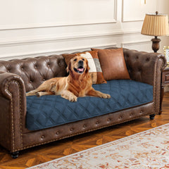 Ameritex waterproof dog bed cover on sofa showing protective surface for furniture