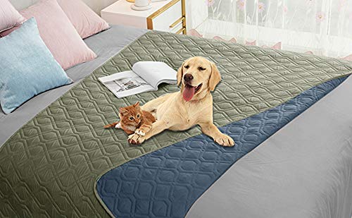 Ameritex dog bed cover on sofa showing waterproof protection for furniture
