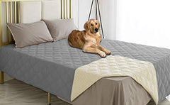Ameritex waterproof dog bed cover on sofa protects furniture from spills.