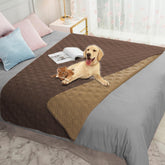 Ameritex waterproof dog bed cover on a sofa protects furniture from spills