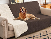 Ameritex Waterproof Dog Bed Cover protects your sofa from spills and accidents.