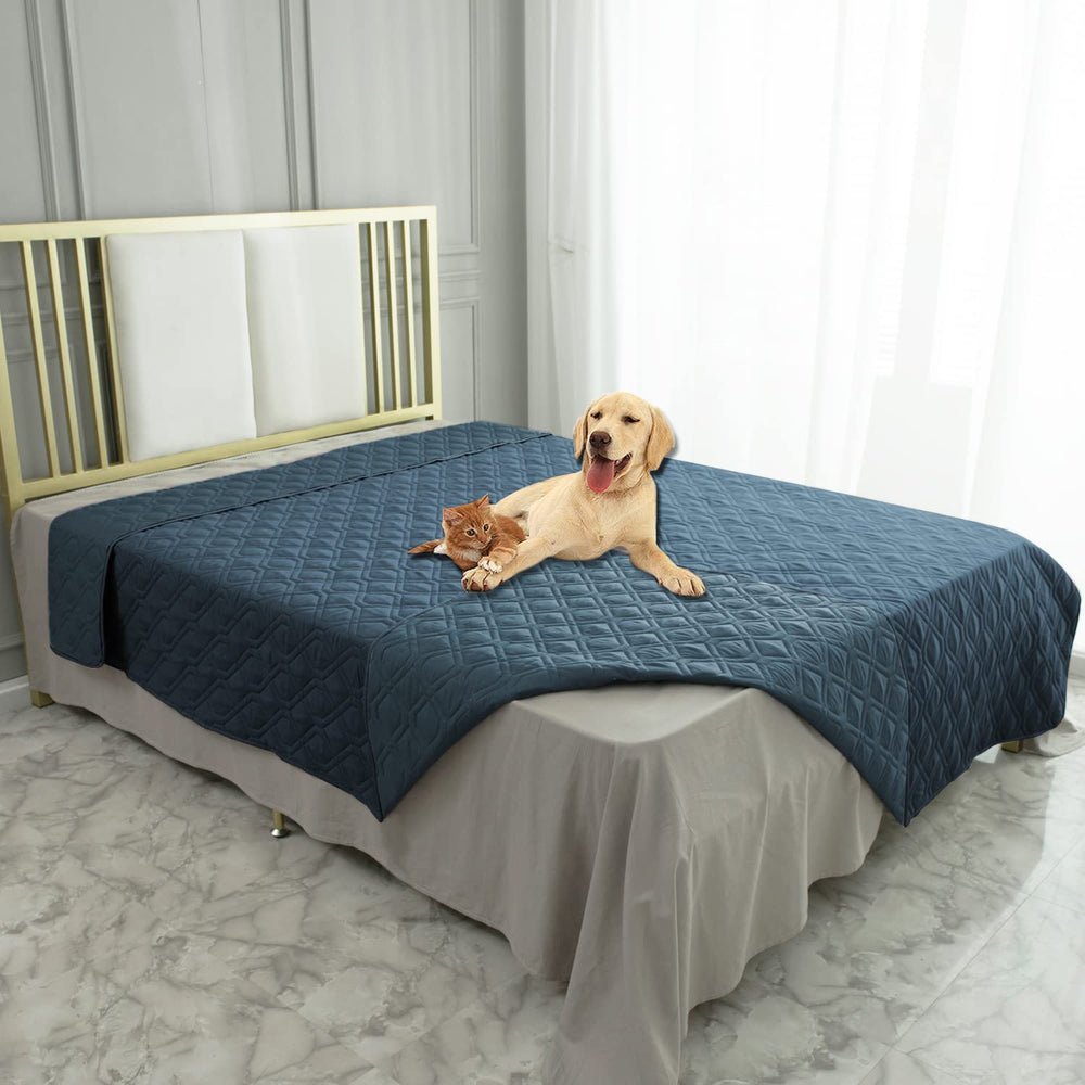 Ameritex waterproof dog bed cover protecting sofa from spills.