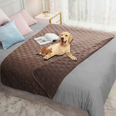 Ameritex waterproof reversible dog bed cover protecting furniture from spills and pet hair.