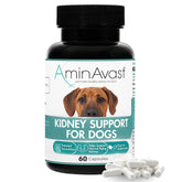 AminAvast dog kidney supplement bottle highlights kidney support for aging pets