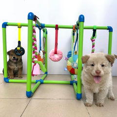 Amlmpet Puppy Play Gym adjustable toy heights customize play for growing puppies.