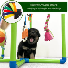 Amlmpet Puppy Play Gym durable PVC construction keeps playtime safe and sturdy.