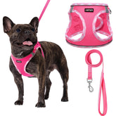 AMTOR small dog harness with leash set - front view for gentle control during walks