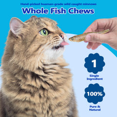 Amzey Freeze-dried minnows close-up showing premium, natural ingredients.