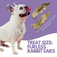 Ancestral Hunter rabbit ears crunchy texture emphasizes high-protein, low-fat appeal for energetic pets.