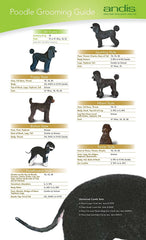 Andis clipper blade close-up with oil before use for longevity