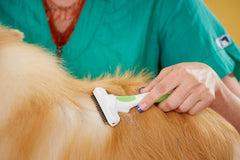 Andis deshedding tool removes loose undercoat to help reduce shedding.