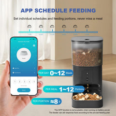 Andoll Home feeder with digital display for easy scheduling.