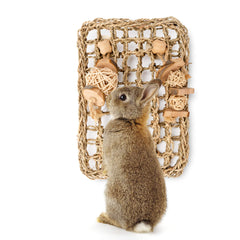 andwe Seagrass Protector Mat with toys provides a natural chew-friendly surface for small pets.