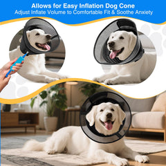 AnimaCure adjustable neck wrap delivers a secure, comfortable fit for your dog.