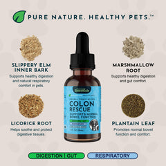 Dropping Colon Rescue tincture into a pet's mouth for gentle relief