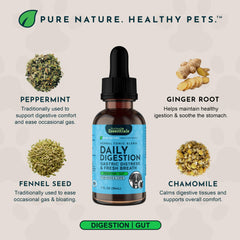 Animal Essentials Daily Digestion mixed into water for simple pet dosing