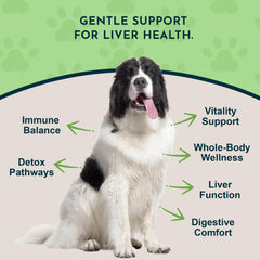 Liver Defense dropper dosing a precise amount for pets