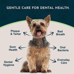 Animal Essentials Sea-Dent cat-teeth-powder helps maintain oral health and clean teeth.
