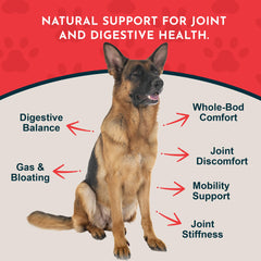 Animal Essentials Yucca Root Drops ingredients highlight organic yucca root.