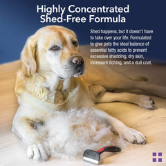 Cat-friendly Krillex chews designed for sensitive stomachs and daily omega-3.