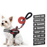 Animire service dog vest harness shown on a dog for daily training and comfort
