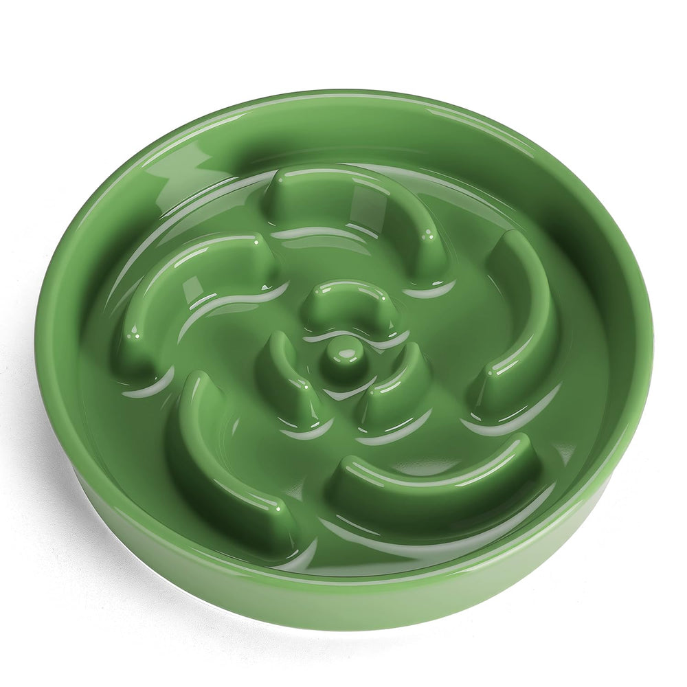 Anipaw slow-feeder ceramic dog bowl green top view highlighting the maze