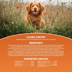 Annamaet Original Puppy DHA-fortified packaging highlighting brain-development support
