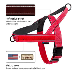 Annchwool harness with reflective strip improves night visibility during walks.