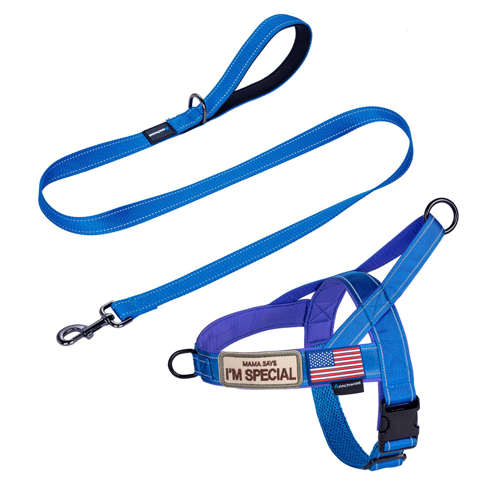 Annchwool No Pull Harness with front strap improves leash control during walks