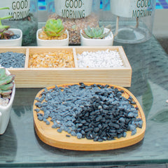Anothera drainage gravel top layer supports evaporation control for potted plants