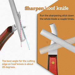 Antidious compact farrier tool fits in a pocket for field use