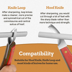 Antidious diamond-coated honing rod delivering long-lasting, consistent blade edges