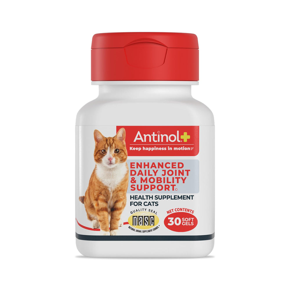 Antinol Plus bottle front showing joint support for cats