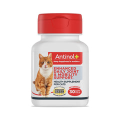 Antinol Plus bottle front showing joint support for cats