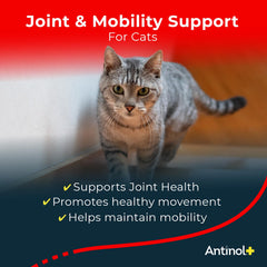 Antinol Plus soft gels close-up for easy administration and mobility.