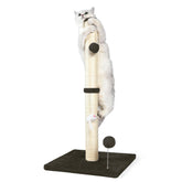 ANWA 32-inch sisal scratching post top plush ball encourages active play and claw maintenance.