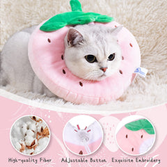 ANWA adorable pillow design doubles as a cozy resting prop for kittens