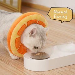 ANWA cat wearing soft donut collar on a kitten for daily wear