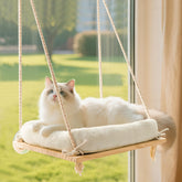 Anywish cat window perch solid wood seat for sturdy lounging and sun exposure.