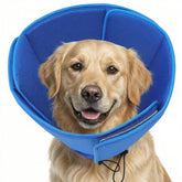 AOFITEE Soft Dog Cone neck area detail for comfort.