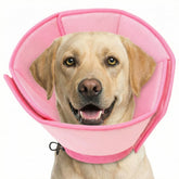 AOFITEE soft dog cone pink large front view for comfy recovery