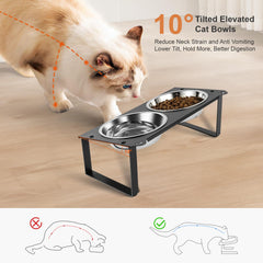 Aomafamzoy tilted 10-degree cat bowl reduces spills while easing eating posture.