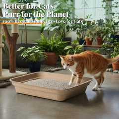 AOZITA recyclable and biodegradable litter pan for eco-friendly care.