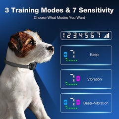 AOZOOM Bark Collar Beep Vibration Combo for flexible training options