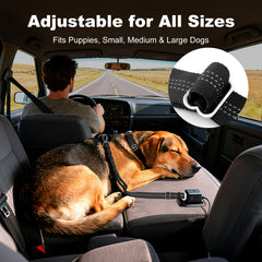APAKBAK reflective strap keeps your dog visible during night drives