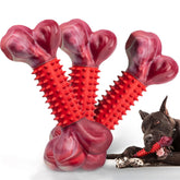 Apasiri 3-pack tough dog toys for aggressive chewers and long-lasting engagement