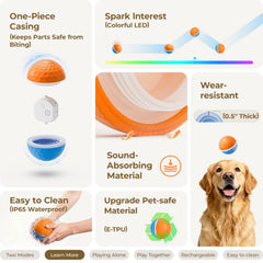Apasiri automatic-moving-ball keeps dogs entertained when alone at home.