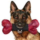 Apasiri bacon-flavored dog bone for large dogs with irresistible scent promoting focused chewing.