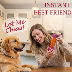 Apasiri durable chew with nylon-core rubber-sleeve for aggressive chewers.